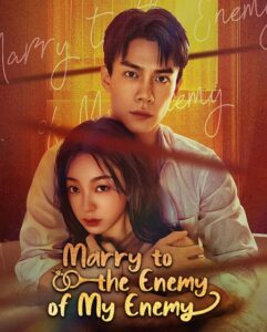 مشاهدة مسلسل Marry to the Enemy of My Enemy الحلقة 6 مترجمة